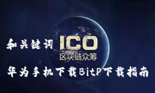 和关键词

华为手机下载BitP下载指南
