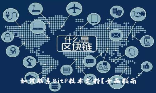 如何联系BitP技术支持?全面指南