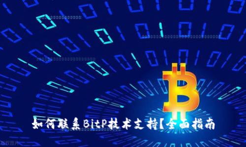 如何联系BitP技术支持?全面指南