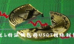 如何通过b特派钱包将USDT转账到货币账户