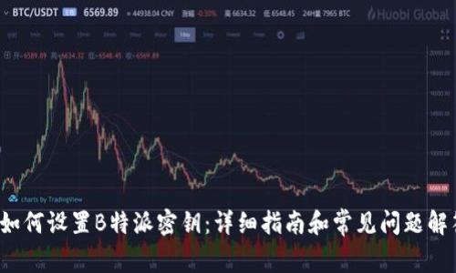 如何设置B特派密钥:详细指南和常见问题解答