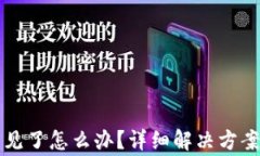 比特派里的币不见了怎么办？详细解决方案与常