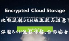研究比特派转BCH的流程与注意事项比特派转BCH流