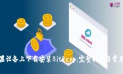 如何在苹果设备上下载安装BitPapp：完整指南与常