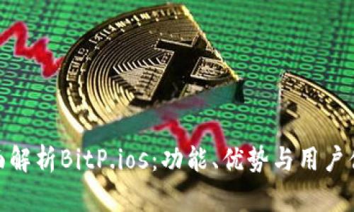 全面解析BitP.ios：功能、优势与用户体验