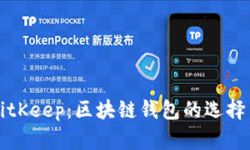 全面了解BitKeep:区块链钱包的选择与使用指南