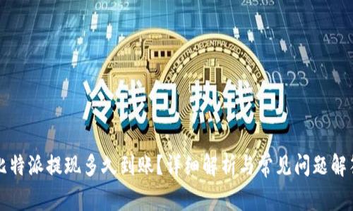 比特派提现多久到账?详细解析与常见问题解答