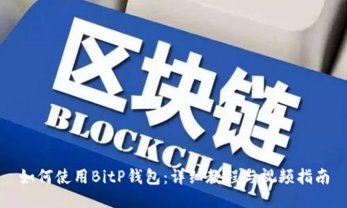 如何使用BitP钱包:详细教程与视频指南