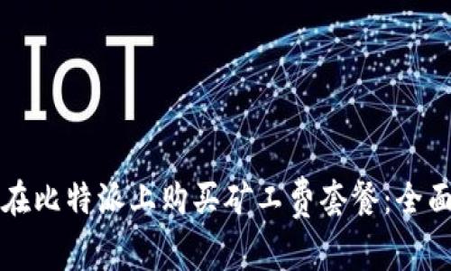 如何在比特派上购买矿工费套餐:全面指南