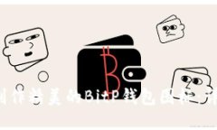 如何制作精美的BitP钱包图标：详细教程