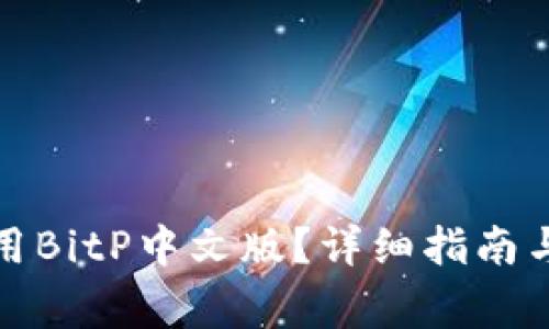 如何下载和使用BitP中文版？详细指南与常见问题解答