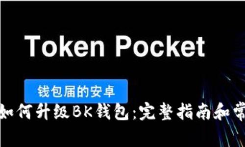 : 荣耀手机如何升级BK钱包:完整指南和常见问题解答