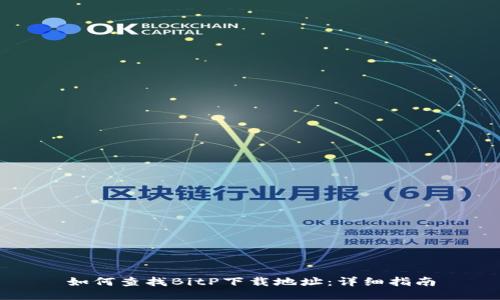 如何查找BitP下载地址:详细指南