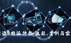 全面解读B特派仲裁：流程、案例与实用指南