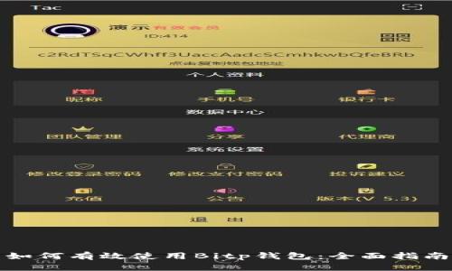 如何有效使用Bitp钱包:全面指南