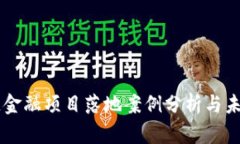 区块链金融项目落地案例分析与未来展望