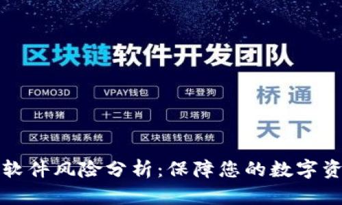 比特派软件风险分析：保障您的数字资产安全