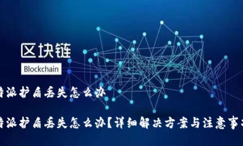 特派护盾丢失怎么办
特派护盾丢失怎么办?详细解决方案与注意事项