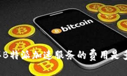 购买B特派加速服务的费用是多少？