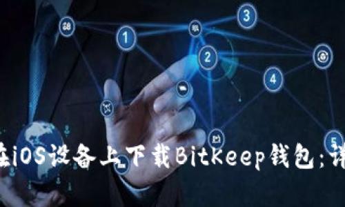 如何在iOS设备上下载BitKeep钱包:详细指南