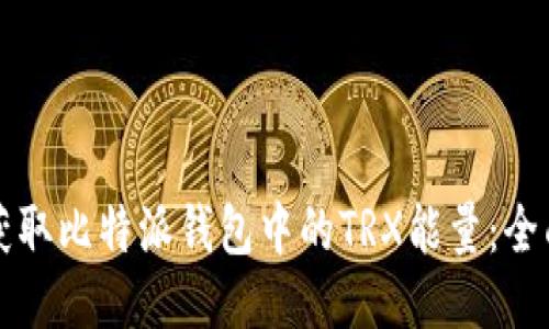 如何获取比特派钱包中的TRX能量:全面指南