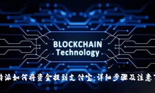 比特派如何将资金提到支付宝:详细步骤及注意事项