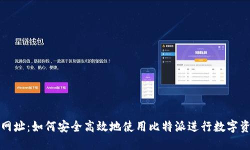 比特派网址:如何安全高效地使用比特派进行数字资产管理