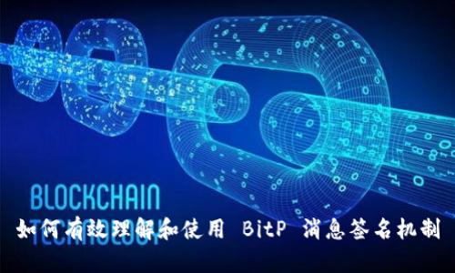 如何有效理解和使用 BitP 消息签名机制