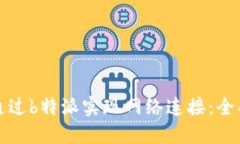 如何通过b特派实现网络连接：全面指南