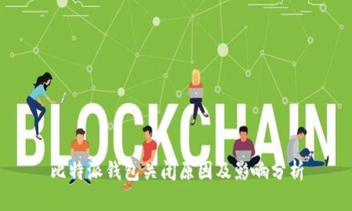 比特派钱包关闭原因及影响分析