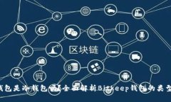 Bitkeep钱包是冷钱包吗？全面解析Bitkeep钱包的类型
