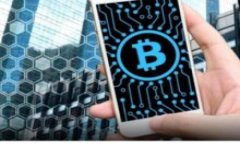 正规B特派APP：使用指南与常见问题解答
