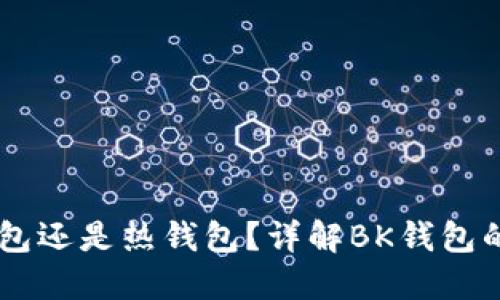 BK钱包是冷钱包还是热钱包？详解BK钱包的类型及安全性