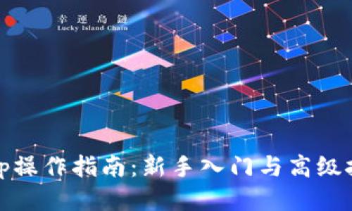 Bitp操作指南：新手入门与高级技巧