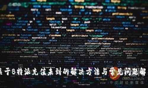 关于B特派充值未到的解决方法与常见问题解析