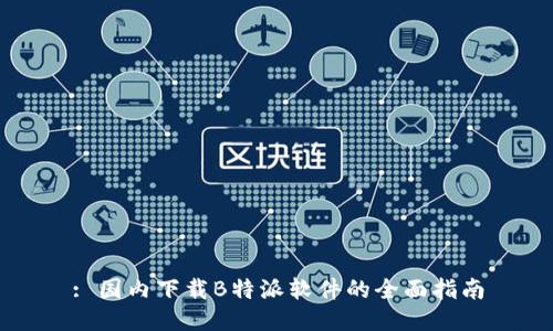 : 国内下载B特派软件的全面指南