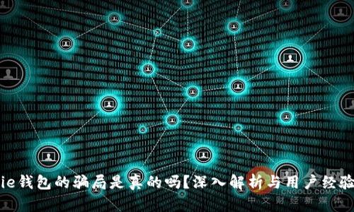 Bitpie钱包的骗局是真的吗?深入解析与用户经验分享