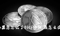 如果您忘记了Bitp密钥，该怎么办？