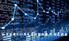 如何使用BitP钱包进行转账操作：详尽指南