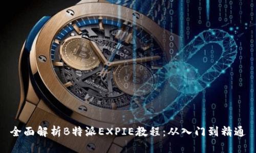 全面解析B特派EXPIE教程：从入门到精通