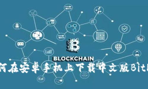 : 如何在安卓手机上下载中文版BitP钱包