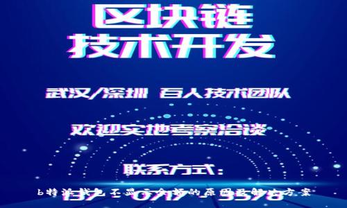 b特派钱包不显示余额的原因及解决方案