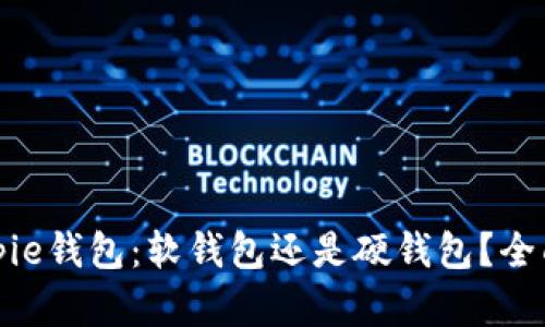 : Bitpie钱包：软钱包还是硬钱包？全面解析