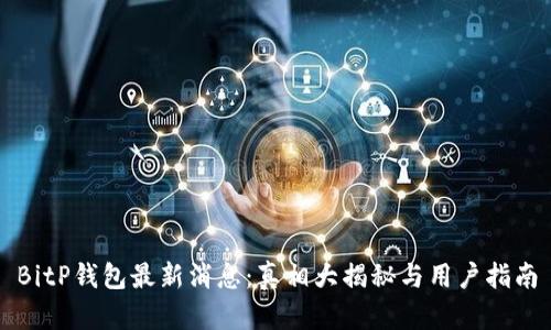 BitP钱包最新消息:真相大揭秘与用户指南