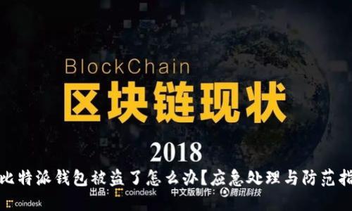 : 比特派钱包被盗了怎么办?应急处理与防范指南