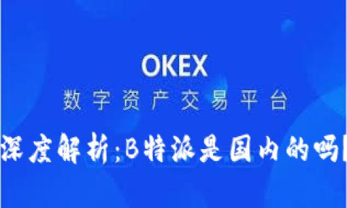深度解析:B特派是国内的吗?