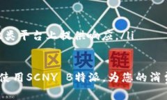    如何使用SCNY B特派进行充值：全面指南与常见