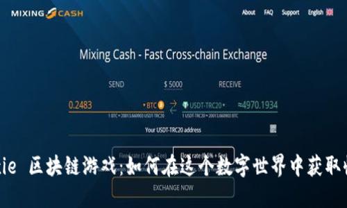  Axie 区块链游戏：如何在这个数字世界中获取收益