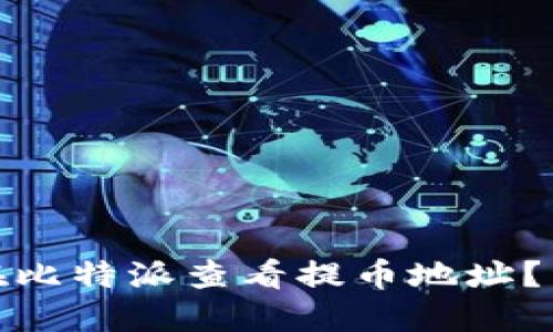 : 如何在比特派查看提币地址?详细指南