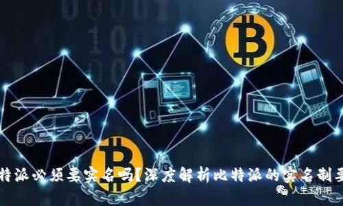 比特派必须要实名吗?深度解析比特派的实名制要求